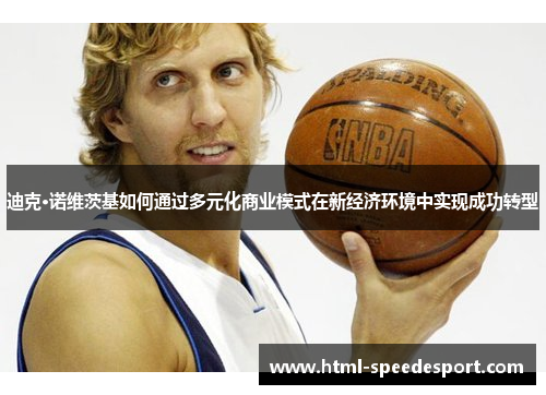 迪克·诺维茨基如何通过多元化商业模式在新经济环境中实现成功转型